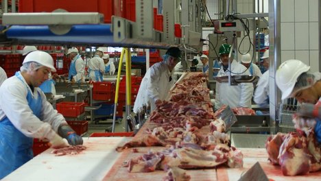 Das Foto zur Pressemitteilung der Linken NRW zu Billigfleisch-Produktion in Coesfeld und Corona zeigt Arbeiter an einem Fließband in einem Zerlegebetrieb.